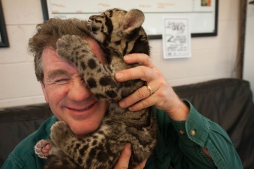 生後9週のウンピョウとたわむれるサートレイ(JOEL SARTORE/NATIONAL GEOGRAPHIC PHOTO ARK)