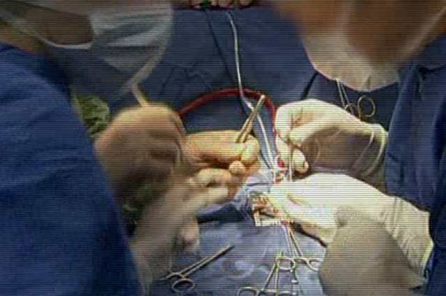 潜入 暗黒産業2 臓器売買 二 ナショナルジオグラフィック日本版サイト