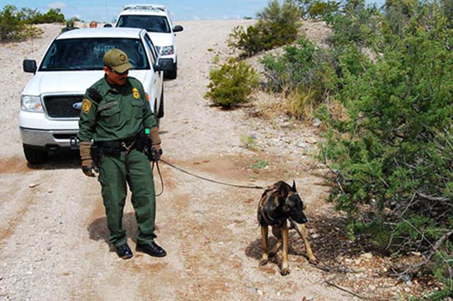 密輸組織と国境警備犬の戦い 二 ナショナルジオグラフィック日本版サイト