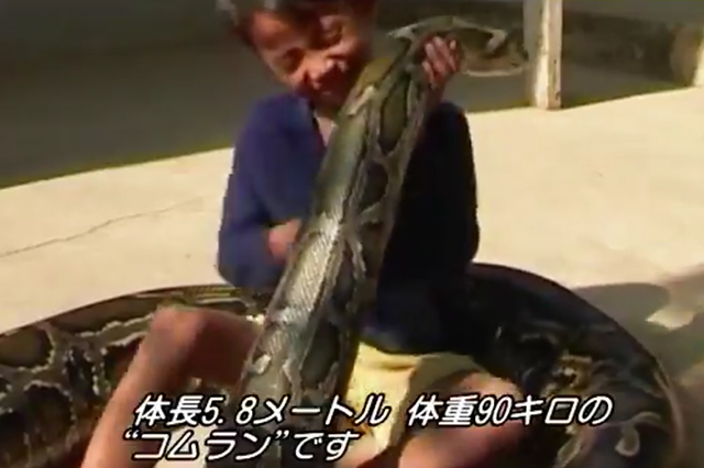 動画あり 少年と巨大ヘビの深い絆 ほか ナショナルジオグラフィック日本版サイト