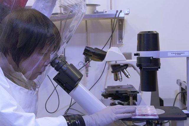 【TV】ホット・ゾーンに見る殺人ウイルスの恐怖 [二]