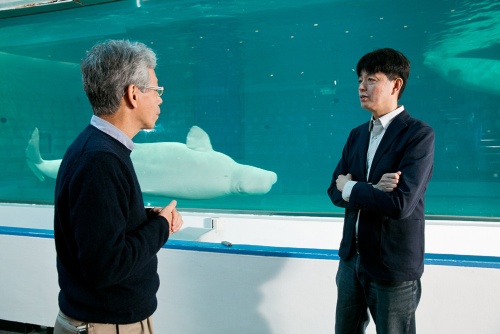 第4回 イルカが言葉を覚えた 動画有 ナショナルジオグラフィック日本版サイト 第4回 イルカが言葉を覚えた 動画有 ナショナルジオグラフィック日本版サイト