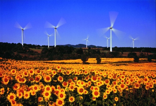 ひまわりが一面に咲く 布引高原 福島県 郡山市 ナショナルジオグラフィック日本版サイト ひまわりが一面に咲く 布引高原 福島県 郡山市 ナショナルジオグラフィック日本版サイト