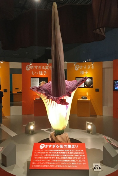 特別展 植物 に行ってみた 驚きのサバイバル能力が続々 ナショナルジオグラフィック日本版サイト 特別展 植物 に行ってみた 驚きのサバイバル能力が続々 ナショナルジオグラフィック日本版サイト