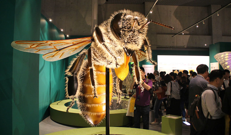 巨大昆虫にも会える！特別展「昆虫」に行ってみた | ナショナル ジオ