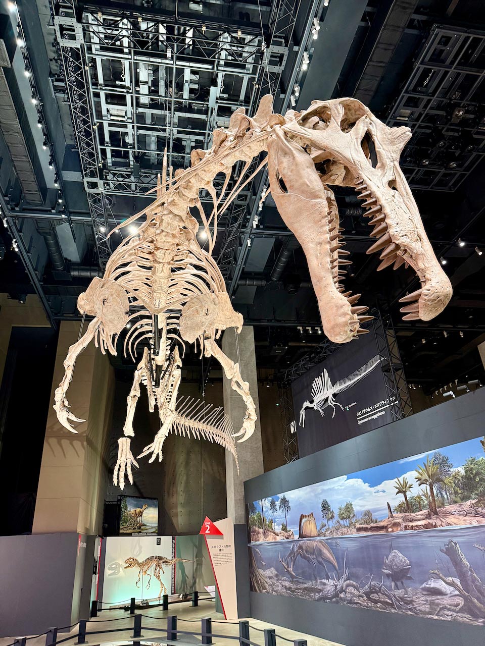 福井の恐竜4種から進化に迫る！ 特別展「獣脚類2025」の見どころを研究