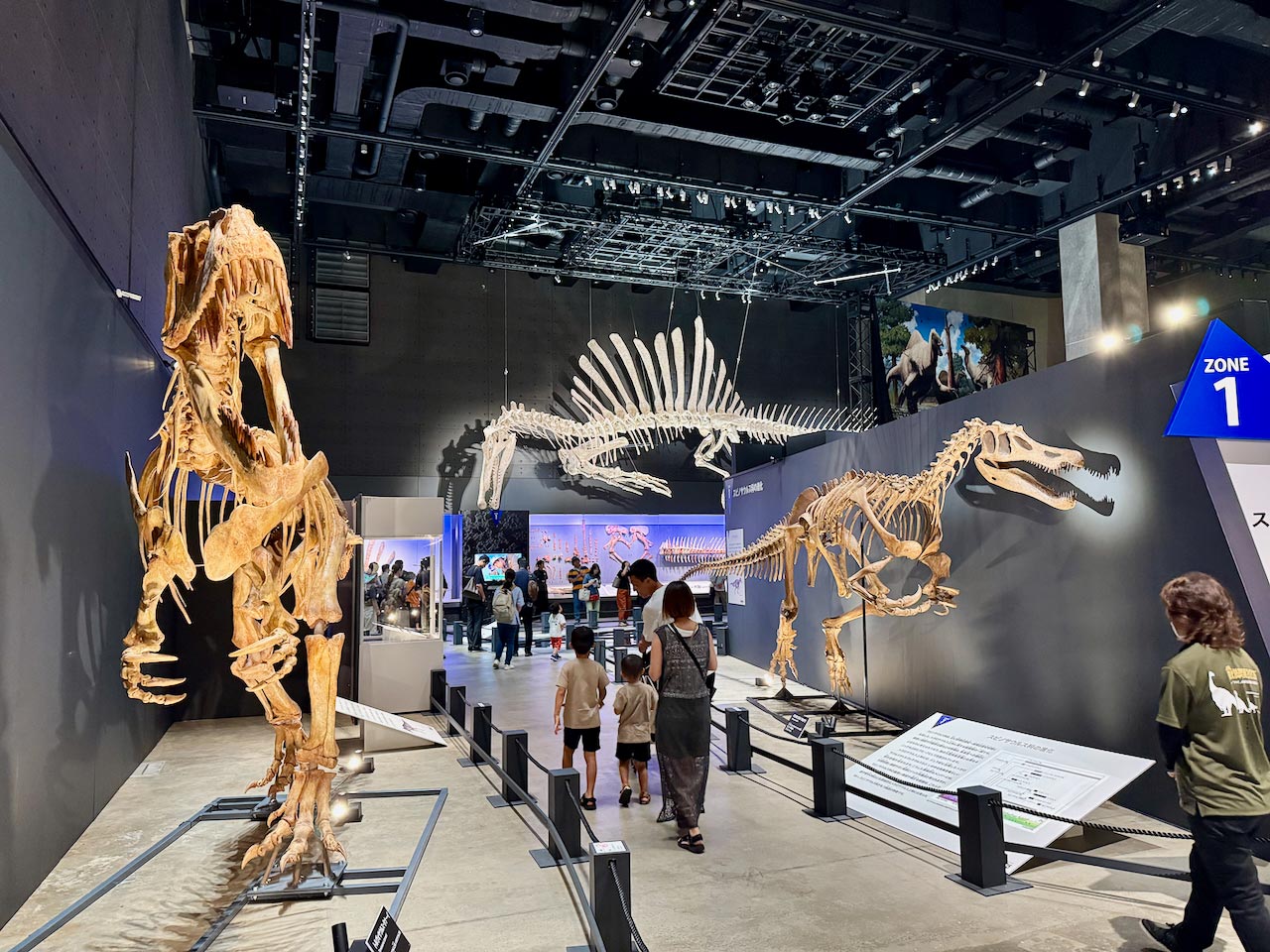 福井の恐竜4種から進化に迫る！ 特別展「獣脚類2025」の見どころ