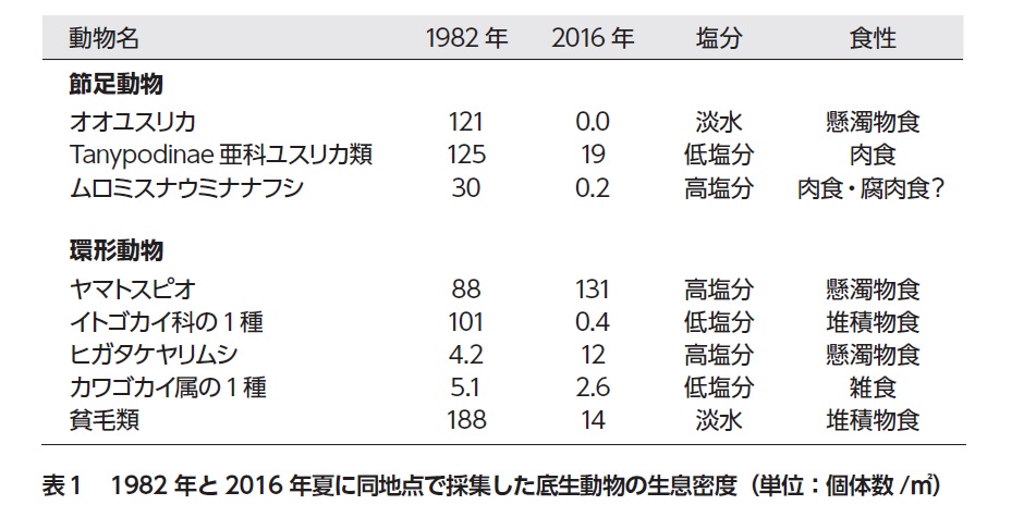 （画像提供：つり人社）
