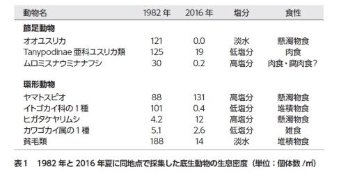 (画像提供:つり人社)