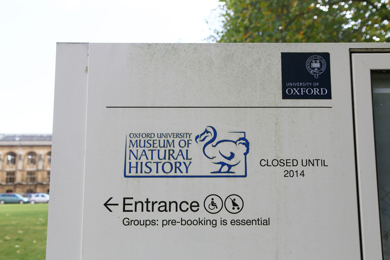 次回はドードーの標本があるオックスフォード大学自然史博物館の中へ！（写真提供：川端裕人）