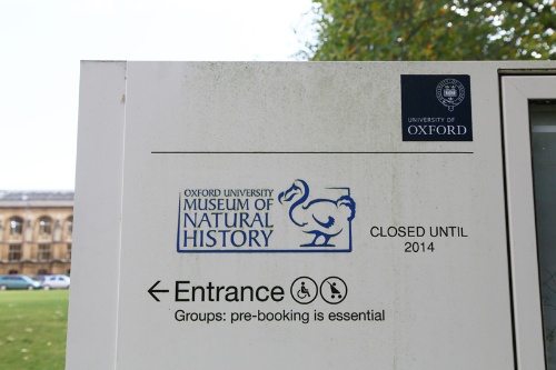 次回はドードーの標本があるオックスフォード大学自然史博物館の中へ!(写真提供:川端裕人)