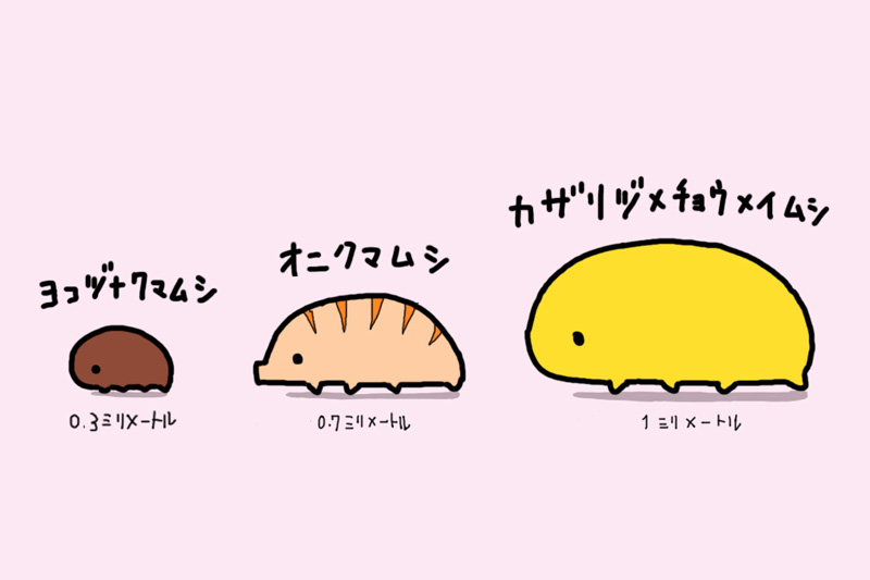 第44回 ビッグ クマムシ ナショナルジオグラフィック日本版サイト