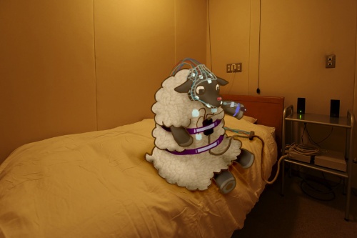 第67回 睡眠研究のための 異時間空間 隔離実験室 ナショナルジオグラフィック日本版サイト 第67回 睡眠研究のための 異時間空間 隔離実験室 ナショナルジオグラフィック日本版サイト