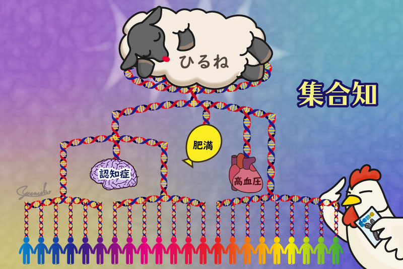 第123回 昼寝の多さは自己責任ではなく遺伝 昼寝と生活習慣病に関わる遺伝子を発見 ナショナルジオグラフィック日本版サイト