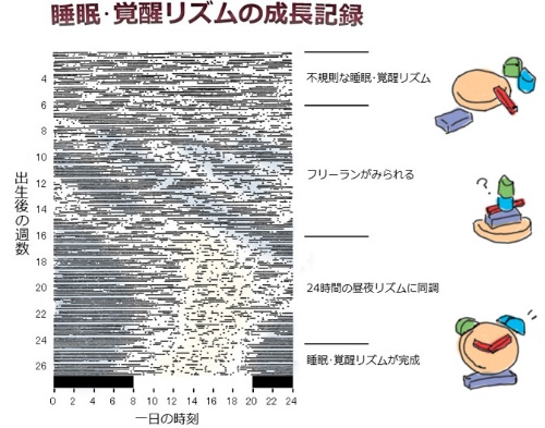 が 妊娠 早い 空く お腹 が 初期 の 妊娠超初期症状の兆候今すぐチェック！もしかしたらデキたかも！