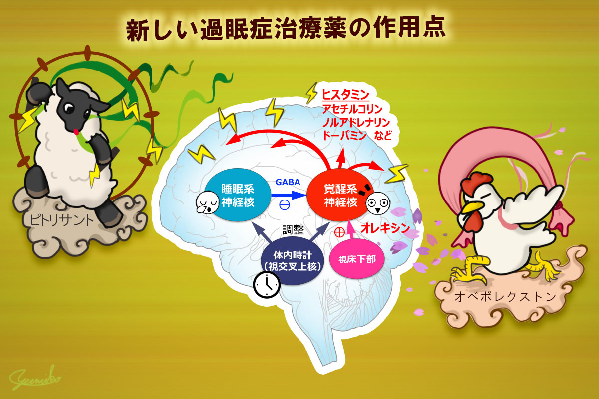 過眠症チャーム 第178回 病的な眠気に襲われる「過眠症」に待望の新薬が登場