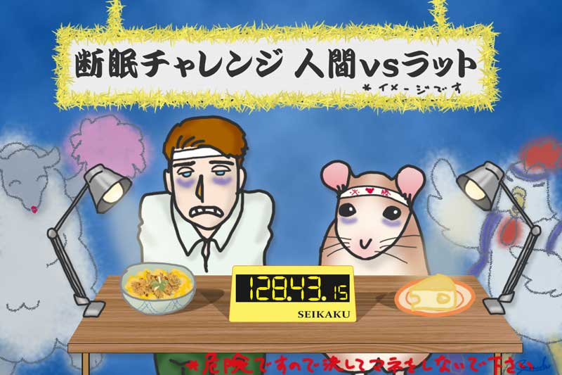 第23回 断眠の世界記録 ラットvs.人間 | ナショナル ジオグラフィック