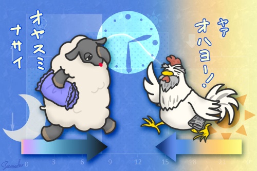 第52回 ナゼ 人は年をとると必要以上に早寝早起きになるのか ナショナルジオグラフィック日本版サイト 第52回 ナゼ 人は年をとると必要以上に早寝早起きになるのか ナショナルジオグラフィック日本版サイト