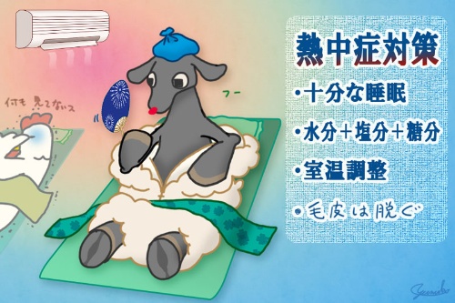 第94回 睡眠不足は熱中症の大敵 昼寝も味方せず ナショナルジオグラフィック日本版サイト 第94回 睡眠不足は熱中症の大敵 昼寝も味方せず ナショナルジオグラフィック日本版サイト