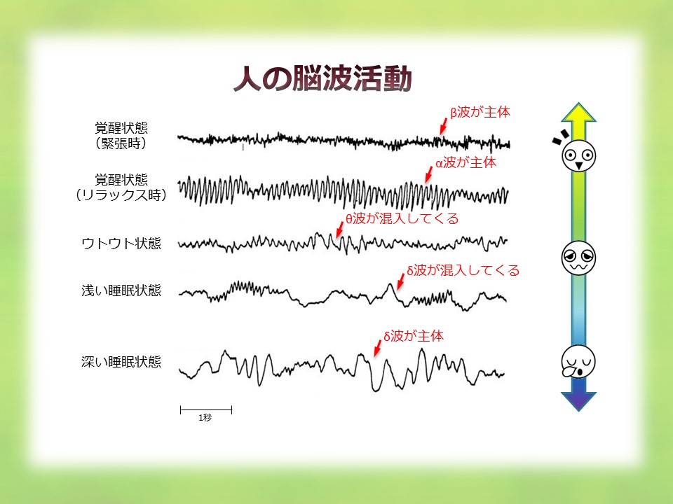 第34回 睡眠の定義とは何か 脳波睡眠 という考え方 ナショナルジオグラフィック日本版サイト