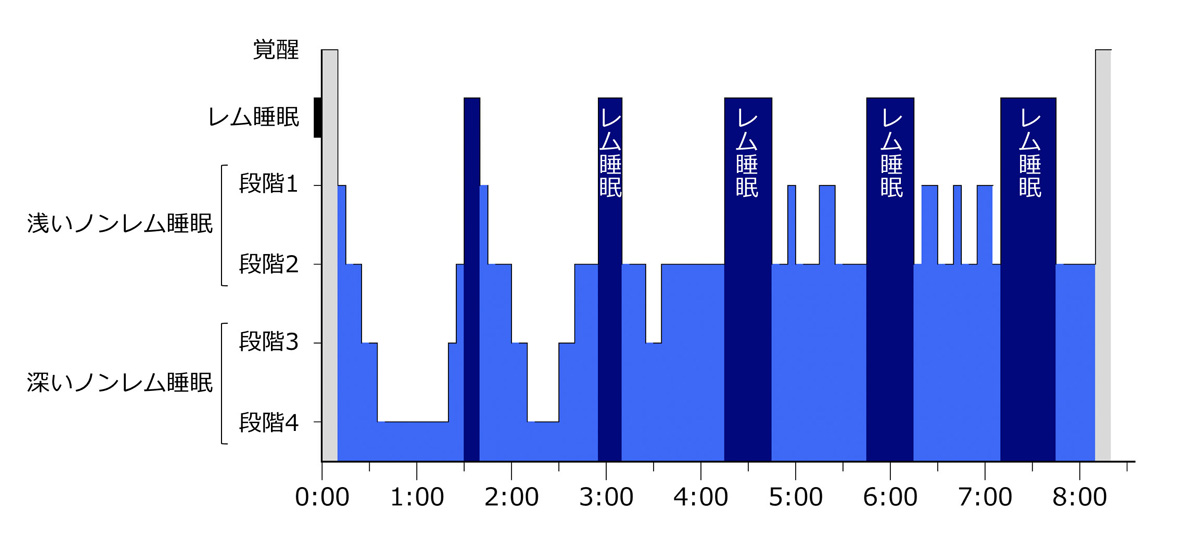 第97回 日中も90分ごとに眠くなるワケ ナショナルジオグラフィック日本版サイト