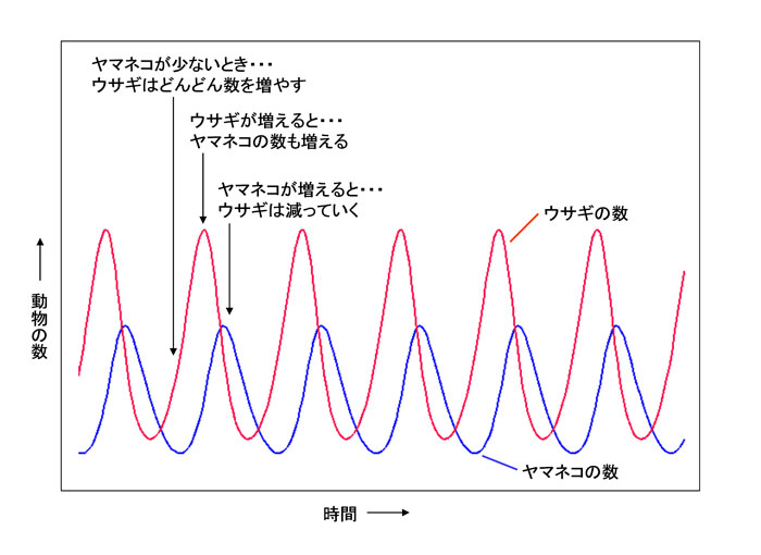 第5回 自然の研究にコンピューター シミュレーションを使う理由 ナショナルジオグラフィック日本版サイト