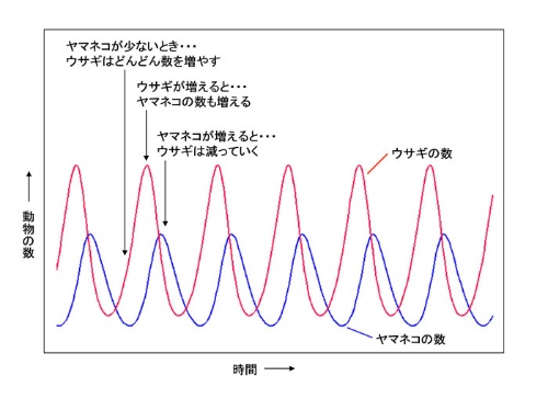 第5回 自然の研究にコンピューター シミュレーションを使う理由 ナショナルジオグラフィック日本版サイト 第5回 自然の研究にコンピューター シミュレーションを使う理由 ナショナルジオグラフィック日本版サイト