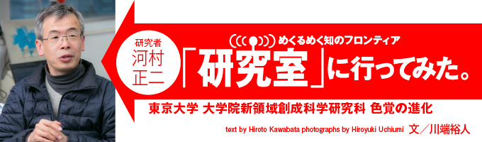 「色」とは、光の波長を識別する能力に応じて、脳が塗っているものだという。とすると、どんなふうにぼくたちは「色」を見ているのだろうか。