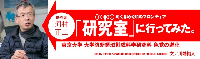 「色」とは、光の波長を識別する能力に応じて、脳が塗っているものだという。とすると、どんなふうにぼくたちは「色」を見ているのだろうか。