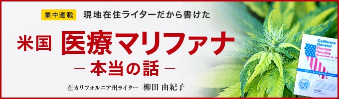 入手 マリファナ 日本で大麻・マリファナを入手する方法（非合法）