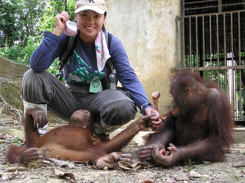 第4回 衝撃的なオランウータンとの出会いと深まる不思議 | ナショナル