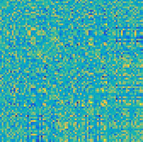第5回 男脳 女脳 のウソはなぜ どのように拡散するのか ナショナルジオグラフィック日本版サイト