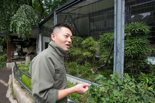 第1回 絶滅危惧種ツシマヤマネコに会ってみた ナショナルジオグラフィック日本版サイト 第1回 絶滅危惧種ツシマヤマネコに会ってみた ナショナルジオグラフィック日本版サイト