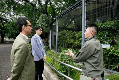 第1回 絶滅危惧種ツシマヤマネコに会ってみた ナショナルジオグラフィック日本版サイト 第1回 絶滅危惧種ツシマヤマネコに会ってみた ナショナルジオグラフィック日本版サイト