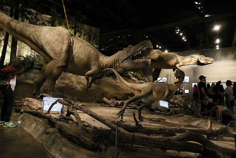 第3回 恐竜発掘の聖地と博物館で恐竜まみれだった高校時代 ナショナルジオグラフィック日本版サイト