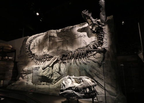 第3回 恐竜発掘の聖地と博物館で恐竜まみれだった高校時代 ナショナルジオグラフィック日本版サイト 第3回 恐竜発掘の聖地と博物館で恐竜まみれだった高校時代 ナショナルジオグラフィック日本版サイト