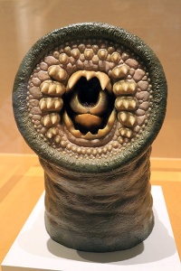 第6回 脊椎動物の強力な武器 顎 はどのように誕生したのか ナショナルジオグラフィック日本版サイト 第6回 脊椎動物の強力な武器 顎 はどのように誕生したのか ナショナルジオグラフィック日本版サイト