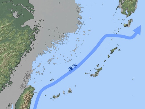 第6回 海部陽介(人類学):人類はどのように日本列島にやって来たのか?(提言編) ナショナルジオグラフィック日本版サイト