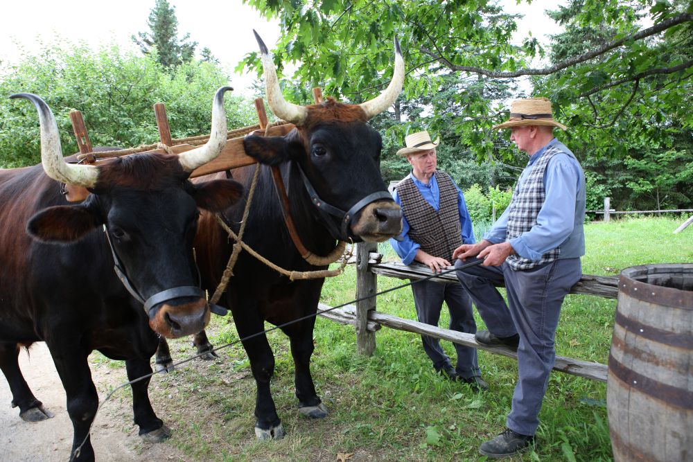 知られざる入植者たちの歴史 ノバスコシアとニューブランズウィック ナショナルジオグラフィック日本版サイト