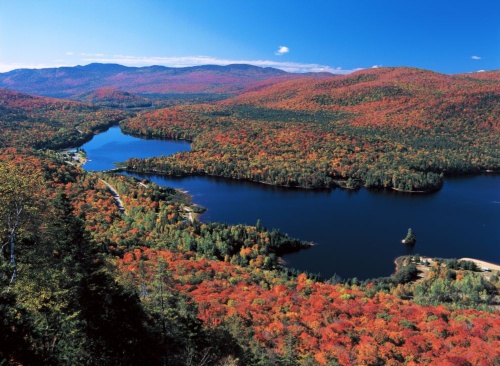 圧倒的な紅葉 ──ケベックナショナルジオグラフィック日本版サイト