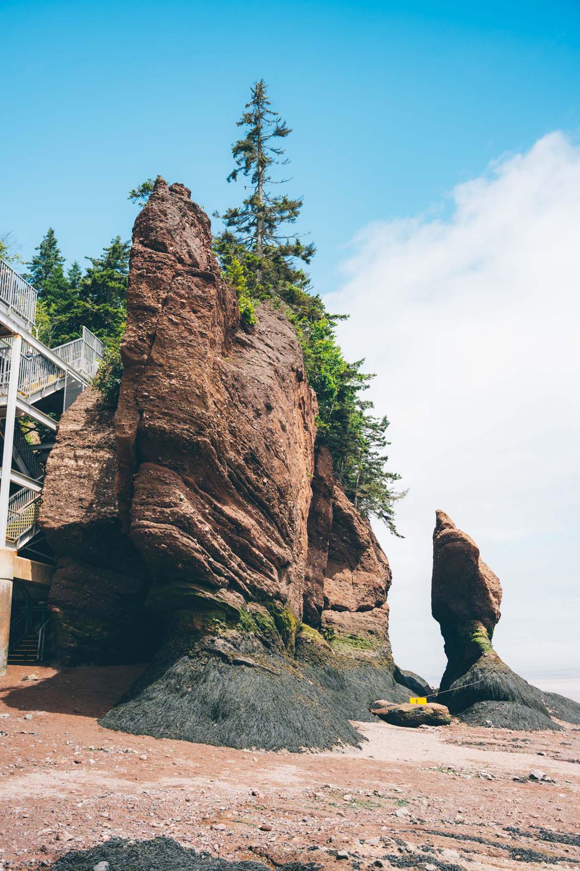 第5回 世界最大の干満差が生んだ巨大奇岩群 ホープウェル・ロックス