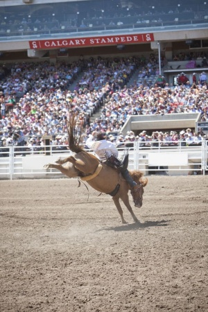 あなたの知らないカウボーイ ナショナルジオグラフィック日本版サイト あなたの知らないカウボーイ ナショナルジオグラフィック日本版サイト