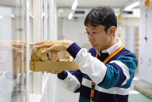 縄文人をはじめ古代の日本の人々のDNA研究のトップランナーである神澤秀明さん。手にしているのは縄文人の家族について驚きの発見があった蝦島の頭骨だ。