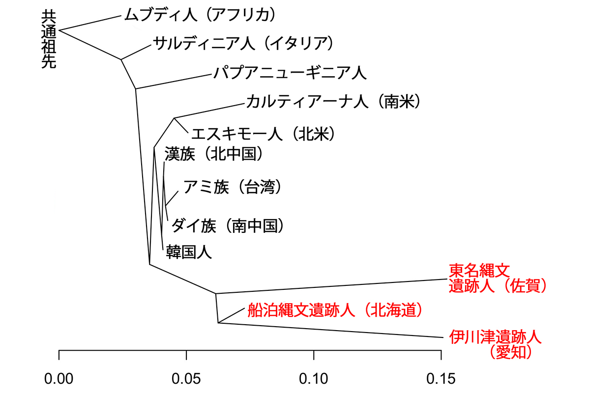 こんだあきこの わたしの偏愛遺跡旅｜新泉社