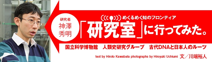 一連の研究の中で、縄文人ゲノムの特徴や位置づけが少しずつわかってきたなかで、神澤秀明さんは大きなものとして2点を挙げた。