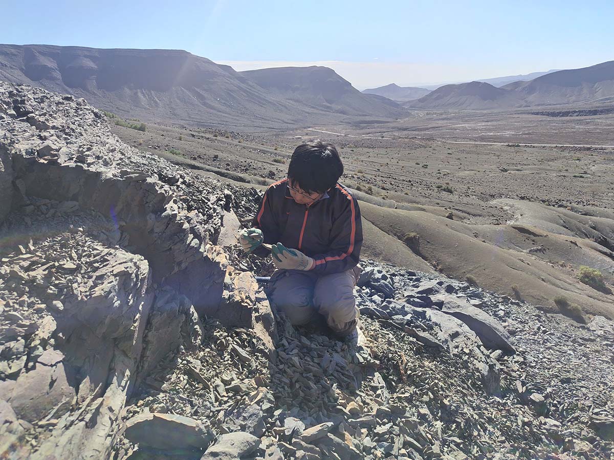 古生代の奇妙な生物の化石が続々、驚きの国モロッコ（三上智之／古生物