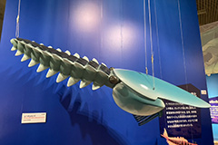 古生代の奇妙な生物の化石が続々、驚きの国モロッコ（三上智之／古生物