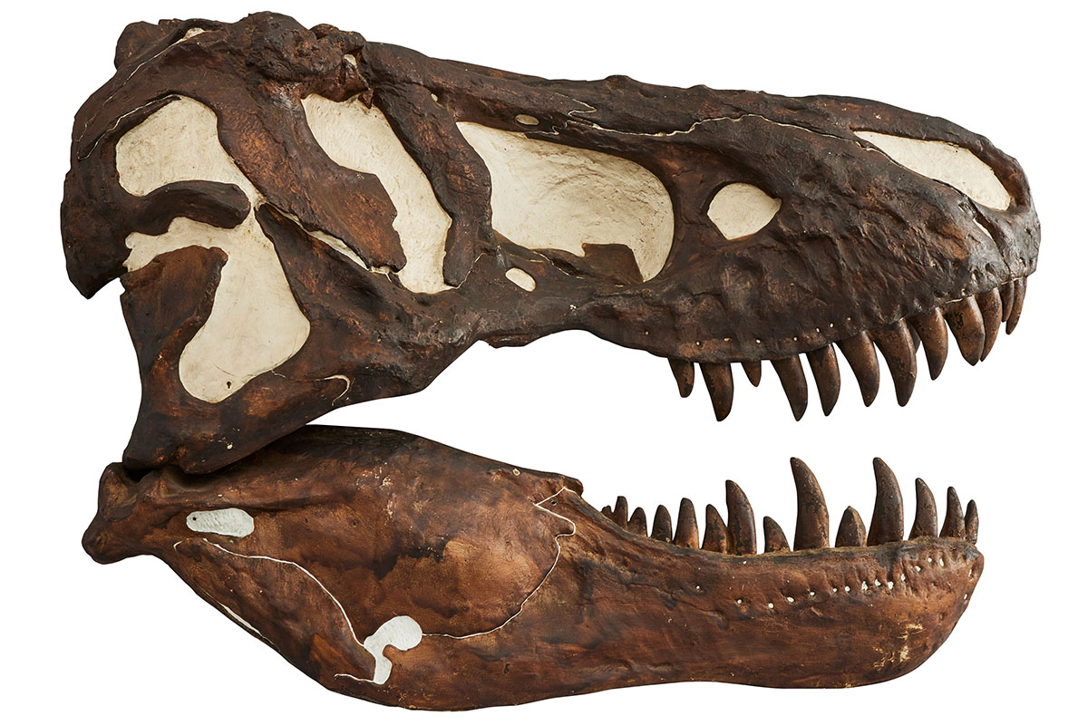 ナショナルジオグラフィック 2005-2007 ナショナル ジオグラフィック日本版 バックナンバー 2004-2006