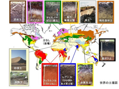 世界の土壌図。(画像提供:藤井一至)