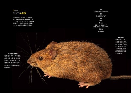 写真=ジョエル・サートレイ(撮影地:埼玉県こども自然動物園)